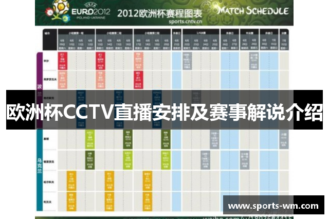 欧洲杯CCTV直播安排及赛事解说介绍