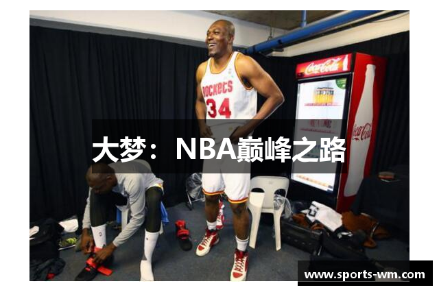 大梦：NBA巅峰之路